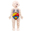 Human Body Anatomy Puzzle