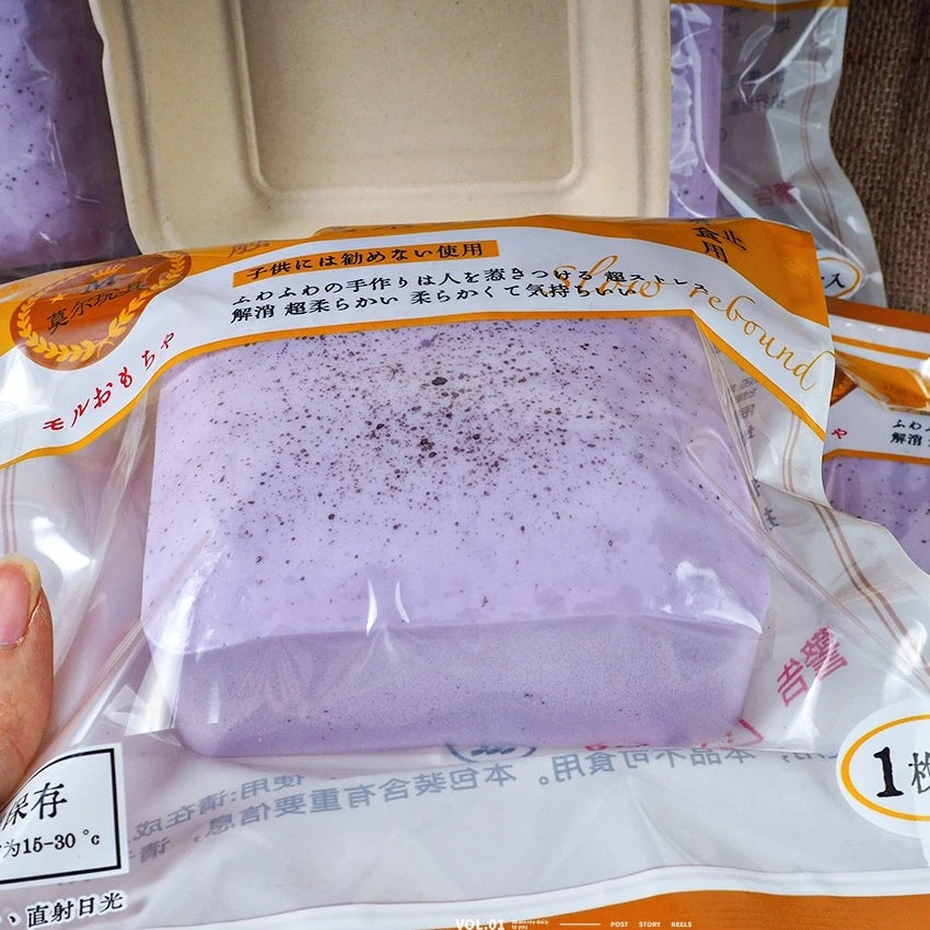 Squishy Toast Toy